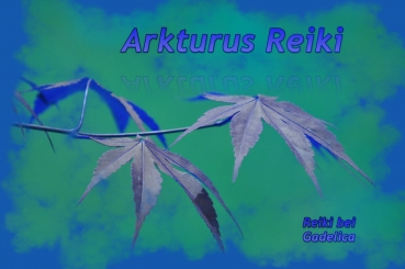 Hexenshop Dark Phönix Arkturus Reiki